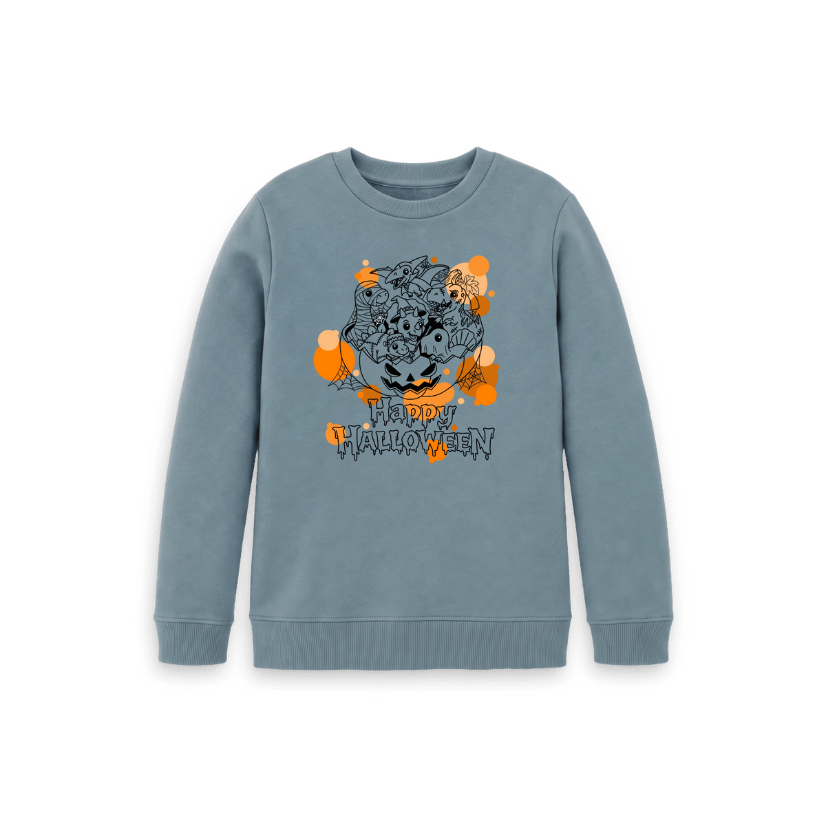 Stone Blue Printed Kids Jumper Front