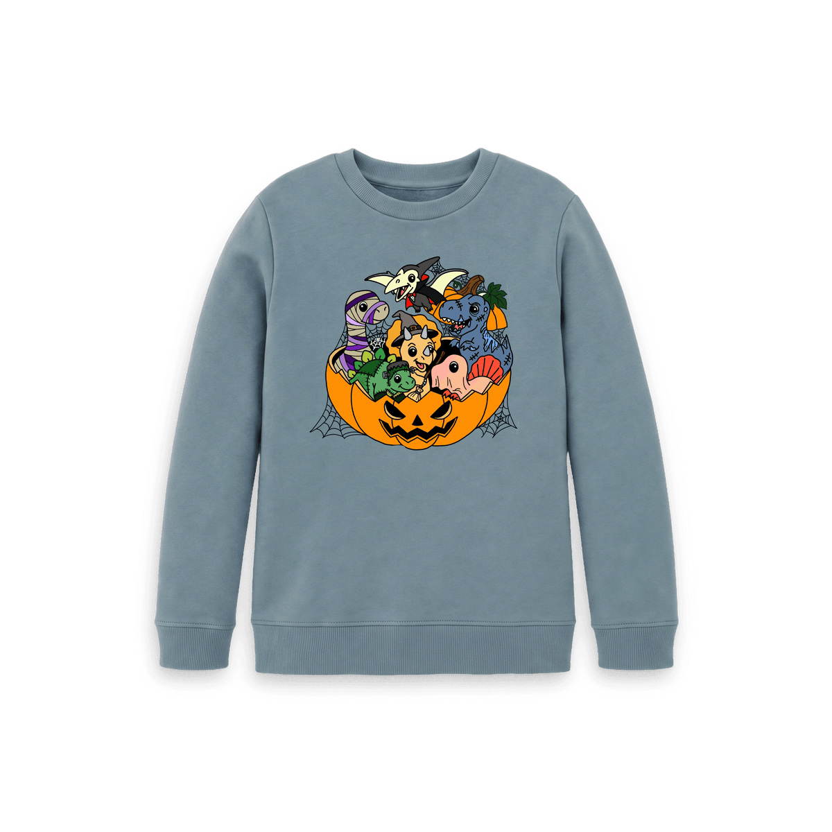 Stone Blue Printed Kids Jumper Front